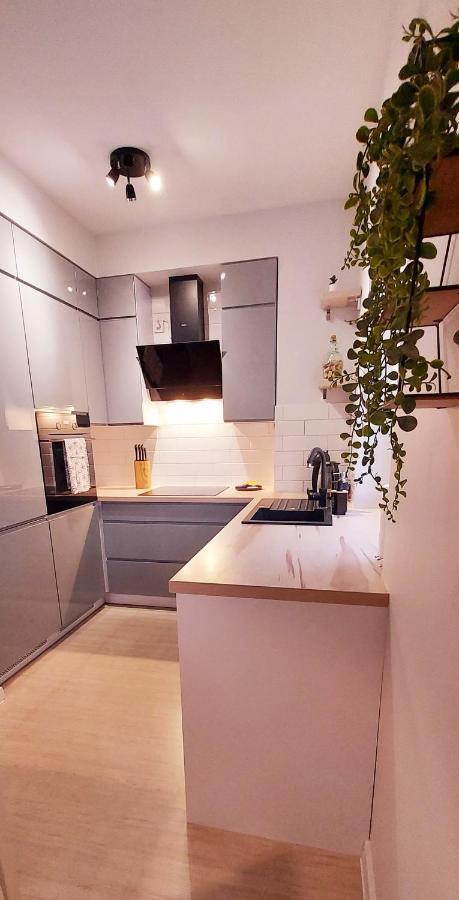 White Velvet Lägenhet Gorzów Wielkopolski Exteriör bild